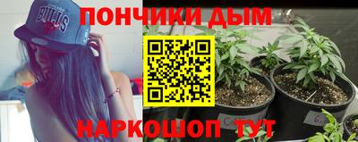 гидра Комсомольск-на-Амуре