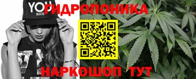 гидра Комсомольск-на-Амуре